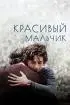 Постер «Красивый мальчик»