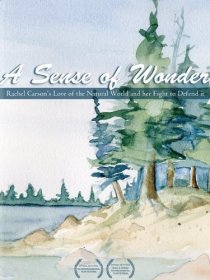 «A Sense of Wonder»