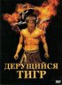 Постер «Дерущийся тигр»
