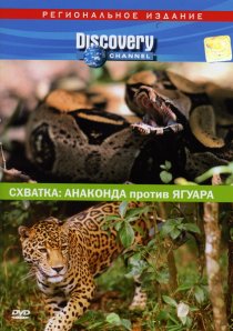 «Discovery. Схватка: Анаконда против ягуара»