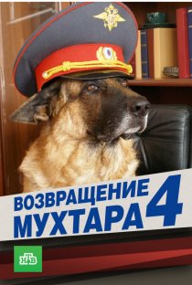 «Возвращение Мухтара 4»