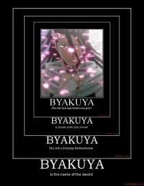«Белая ночь»