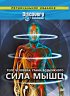 Постер «Discovery: Тело человека. Грани возможного»