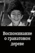 Постер «Воспоминание о гранатовом дереве»