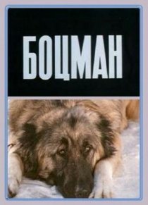 «Боцман»