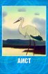 Постер «Аист»