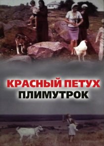 «Красный петух плимутрок»