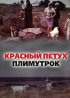 Постер «Красный петух плимутрок»