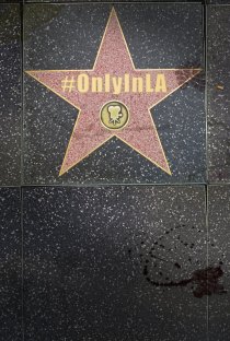 «Only in L.A.»