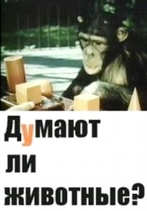 «Думают ли животные?»