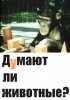 Постер «Думают ли животные?»