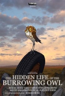 «The Hidden Life of the Burrowing Owl»