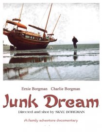 «Junk Dreams»