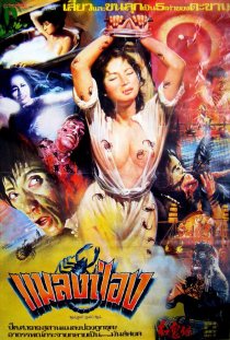 «Gong gui zai»