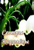 Постер «Сестры Королевы»