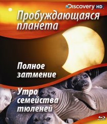 «Пробуждающаяся планета»