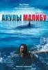 Постер «Акулы Малибу»