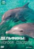Постер «Дельфины: Морские спасатели»
