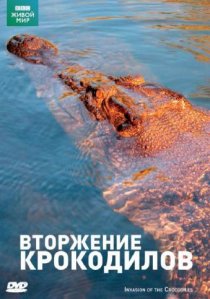 «BBC: Вторжение крокодилов»