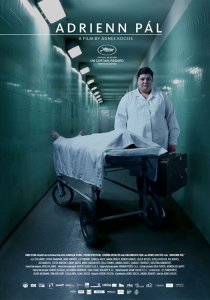 «Пал Адриенн»