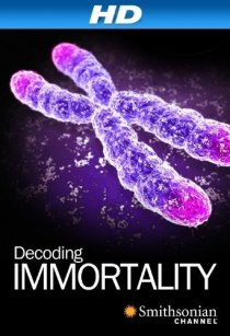«Immortal»