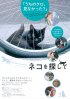 Постер «La voie du chat»