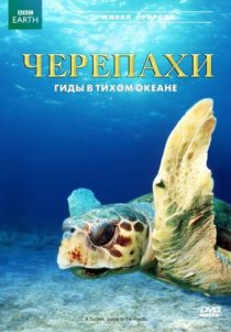 «Черепахи: Гиды в Тихом океане»