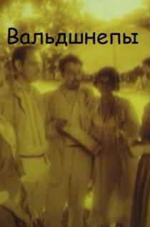 «Вальдшнепы»