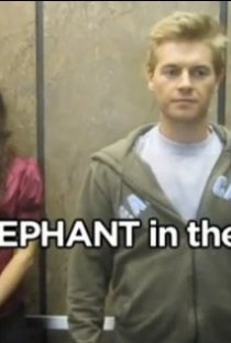 «The Elephant in the Room»
