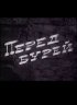 Постер «Перед бурей»