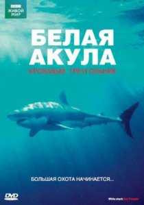 «BBC: Белая акула. Кровавый треугольник»