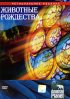 Постер «Животные Рождества»