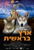 Постер «Генезис Земли»