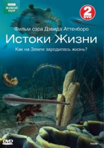 «BBC: Истоки жизни»