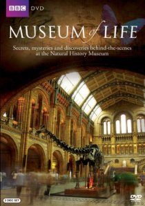 «Museum of Life»