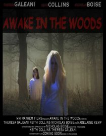 «Awake in the Woods»