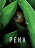 Постер «Река»