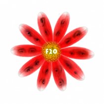«F20»