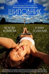 «Шиповник»