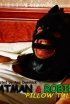 Постер «Batman & Robin: Pillow Talk»