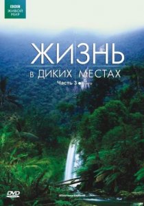 «BBC: Жизнь в диких местах»