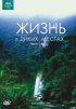 Постер «BBC: Жизнь в диких местах»