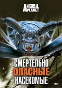 «Animal Planet: Смертельно опасные насекомые»