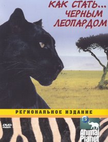 «Animal Planet: Как стать...»