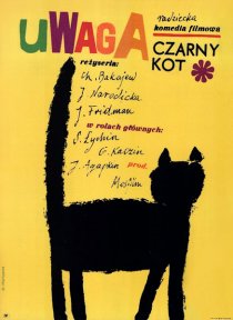 «Черный котенок»
