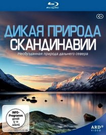 «Дикая природа Скандинавии»