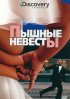 Discovery: Пышные невесты