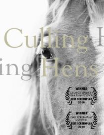 «Culling Hens»