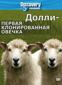 «Discovery: Долли – первая клонированная овечка»