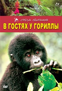 «В гостях у гориллы»